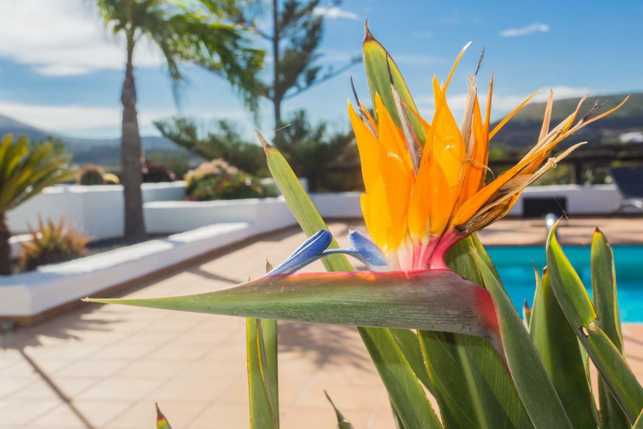 Casa El Quinto Villa La Vegueta Екстериор снимка